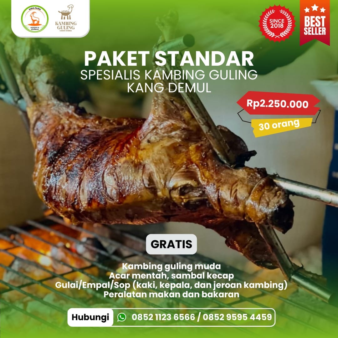 Paket Kambing Guling Standar